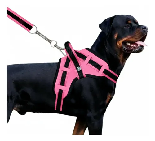 [COMPROVADO] Coleira Pit Bull +95% Aprovação 🔒